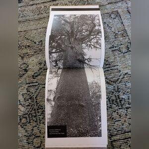 Tree: A New Vision Of The American Forest Book
